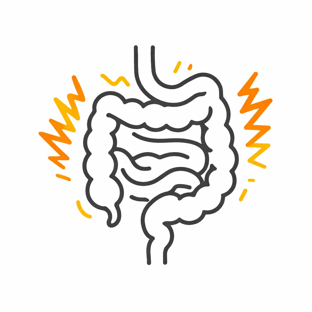 illustration spasmes intestinaux