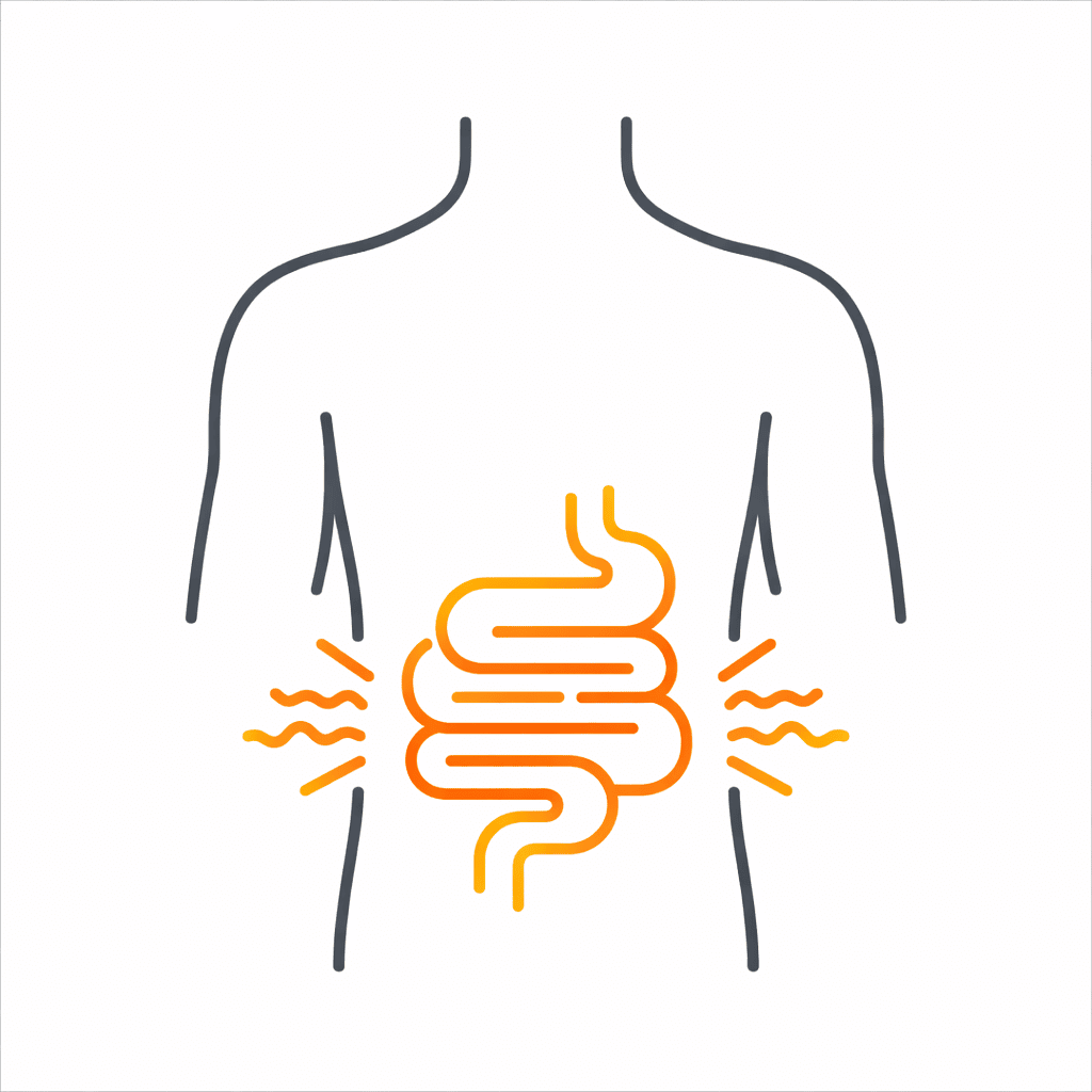 illustration transit intestinal stress